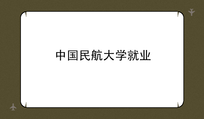 中国民航大学就业