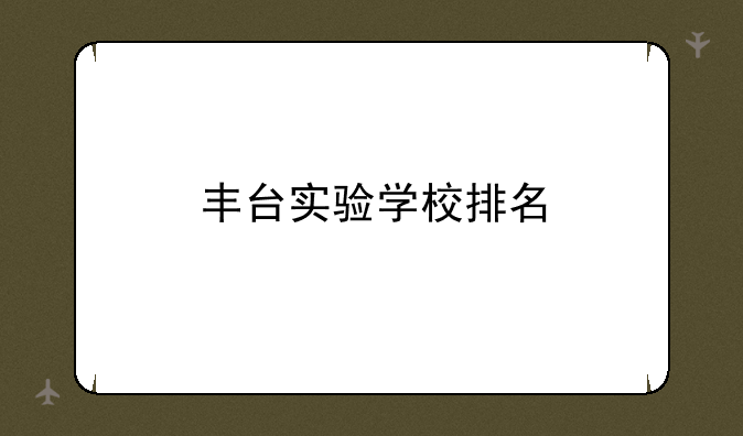 丰台实验学校排名