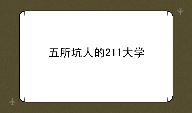 五所坑人的211大学