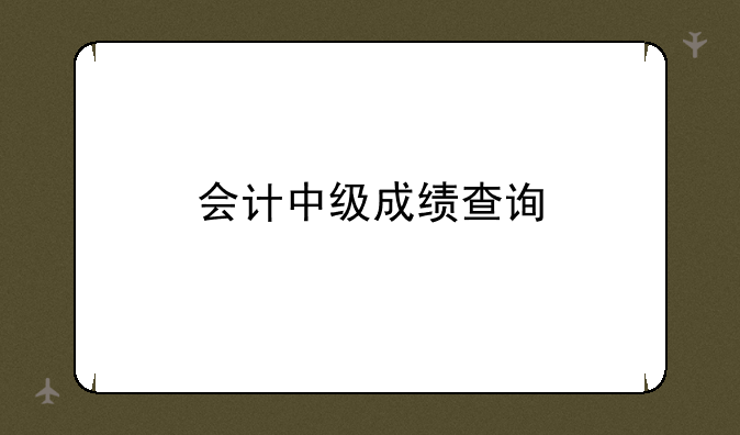 会计中级成绩查询