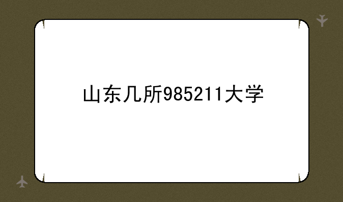 山东几所985211大学