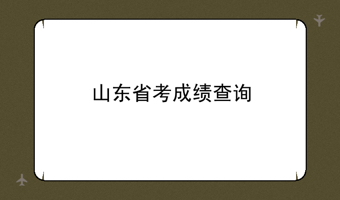 山东省考成绩查询