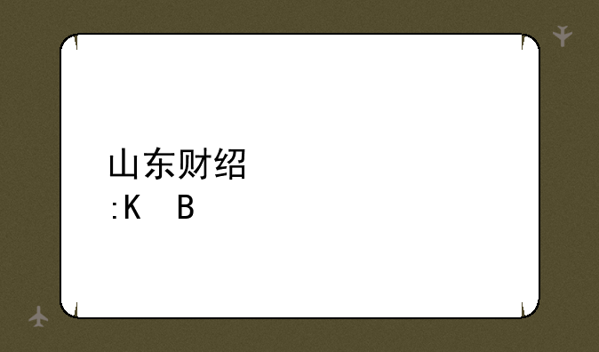 山东财经大学排名