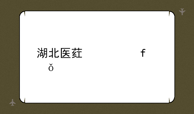 湖北医药学院就业