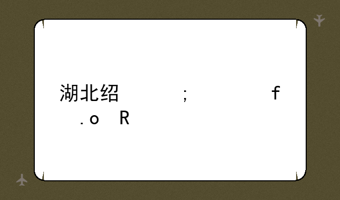 湖北经济学院招生