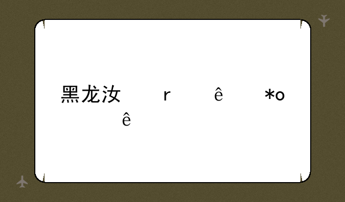 黑龙江省人力资源