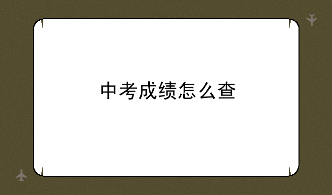 中考成绩怎么查