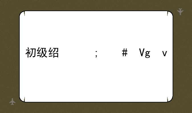 初级经济师教材