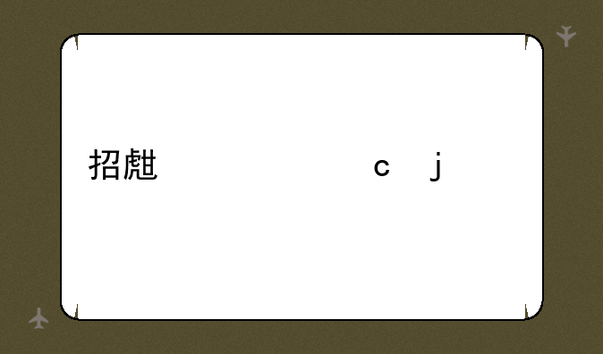 招生空乘的要求