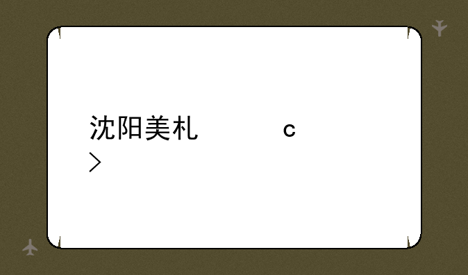 沈阳美术高考班