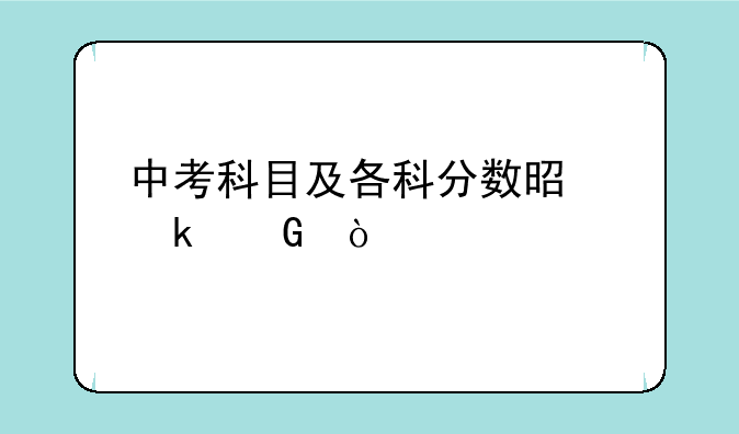 中考科目及各科分数是多少？
