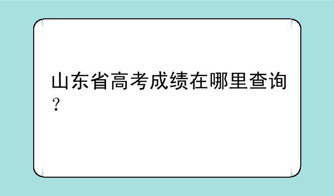 山东省高考成绩在哪里查询？