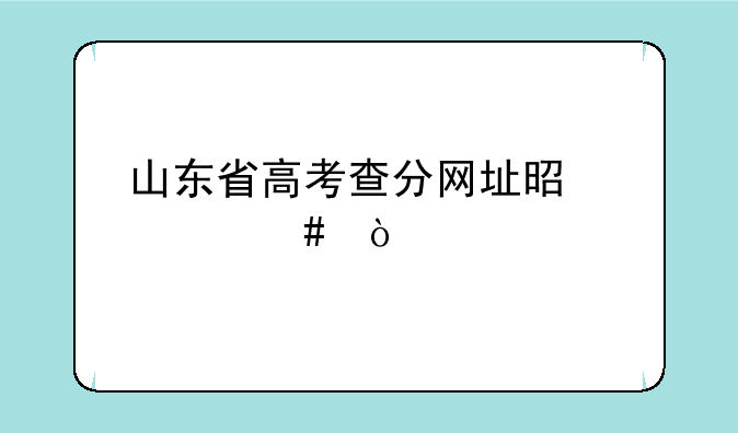 山东省高考查分网址是什么？