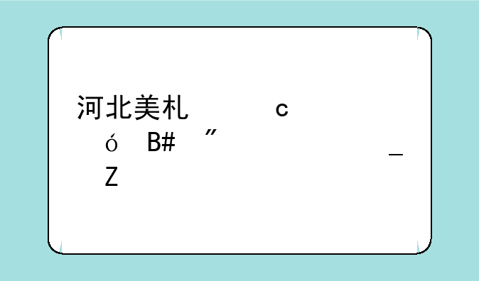 河北美术高考综合分计算方法