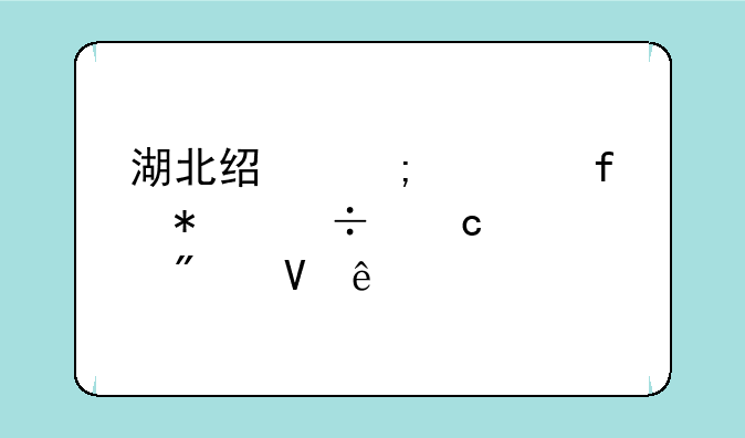 湖北经济学院技能高考分数线