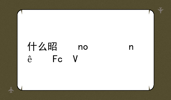 什么是四项目人员啊