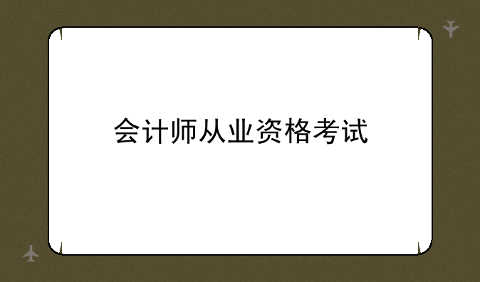 会计师从业资格考试