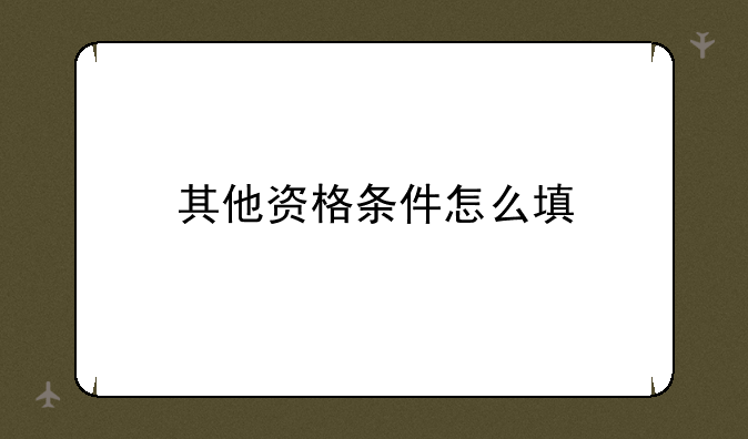 其他资格条件怎么填