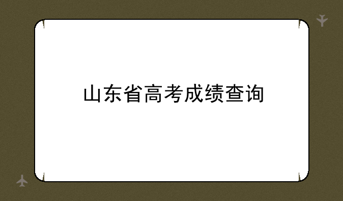山东省高考成绩查询