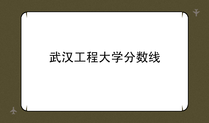 武汉工程大学分数线
