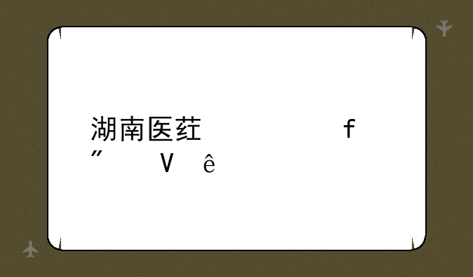 湖南医药学院分数线