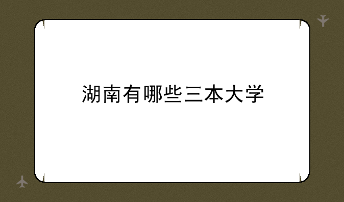湖南有哪些三本大学