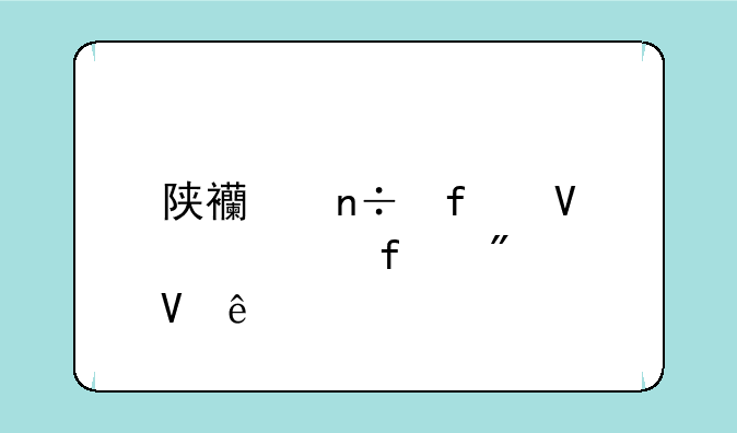 陕西国际商贸学院分数线