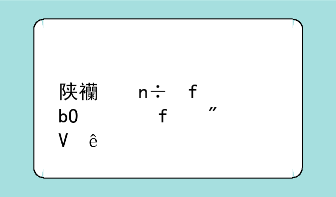 陕西国际贸易学院分数线