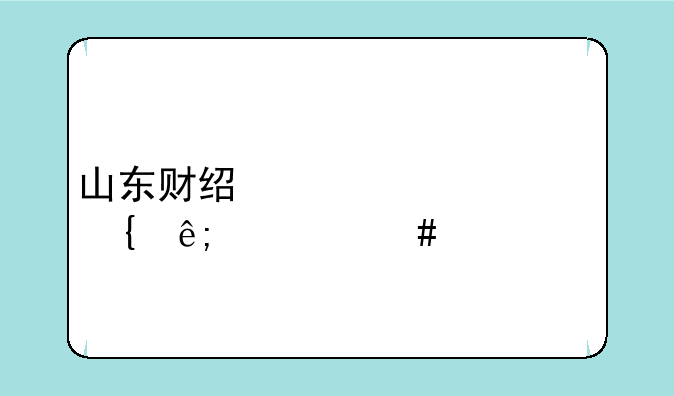 山东财经大学属于什么档次