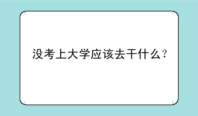 没考上大学应该去干什么？