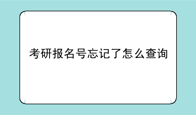考研报名号忘记了怎么查询