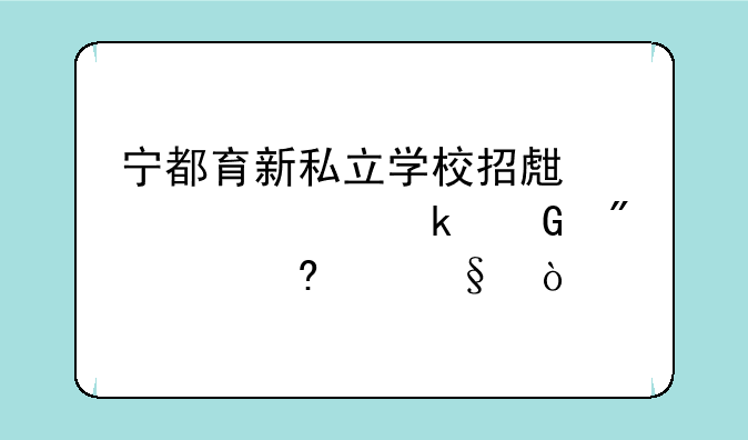 宁都育新私立学校招生要考多少分(小学)？
