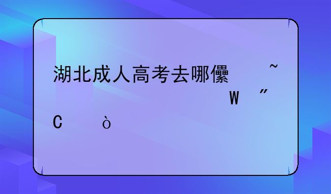 湖北成人高考去哪儿查询考试成绩？
