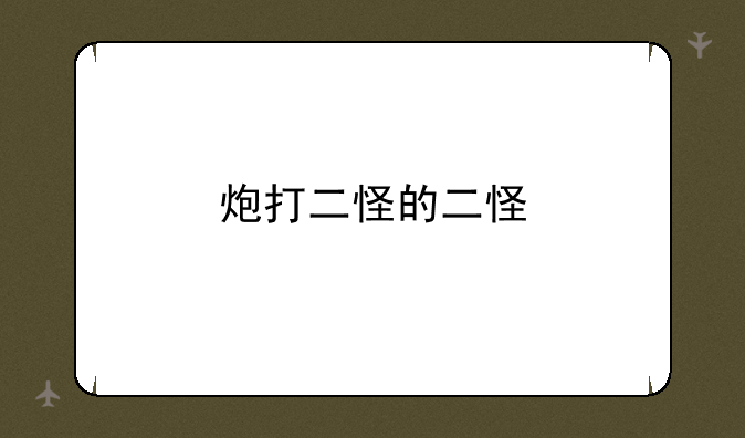 炮打二怪的二怪